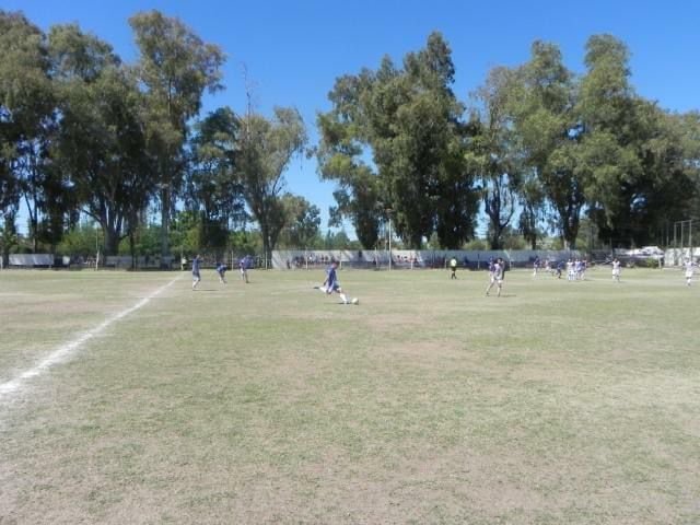 stadium photo