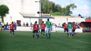 camioners-indep-semi-1