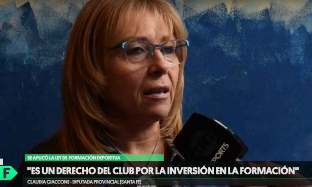 Informe especial: Ley de formación deportiva