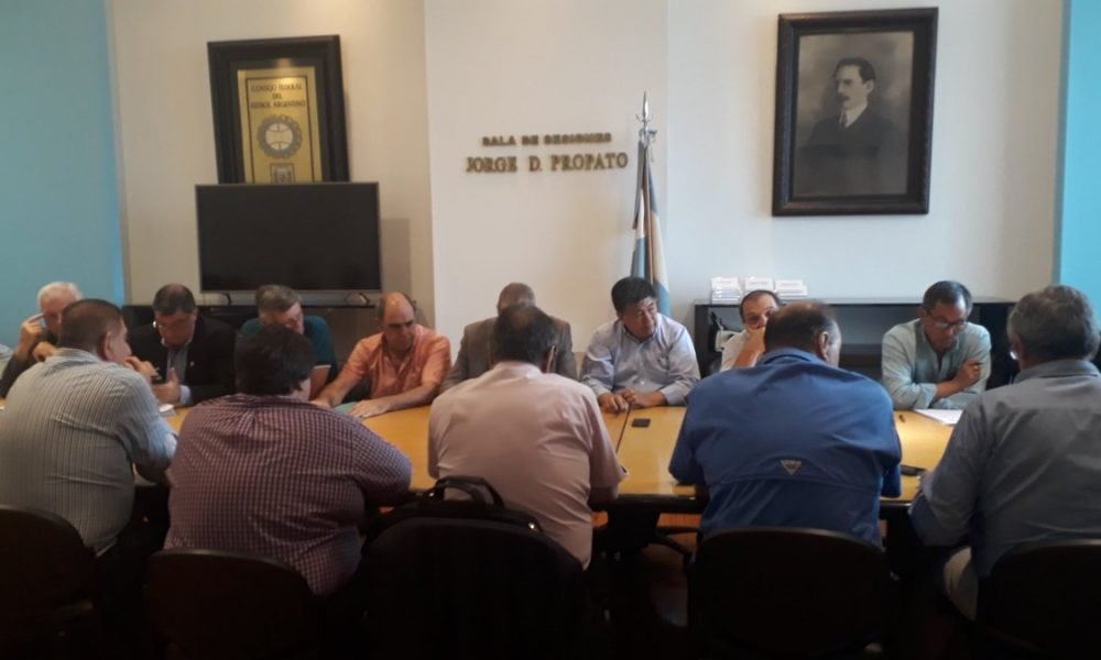 Torneo Regional Amateur: ¿qué se definió en el Consejo Federal?