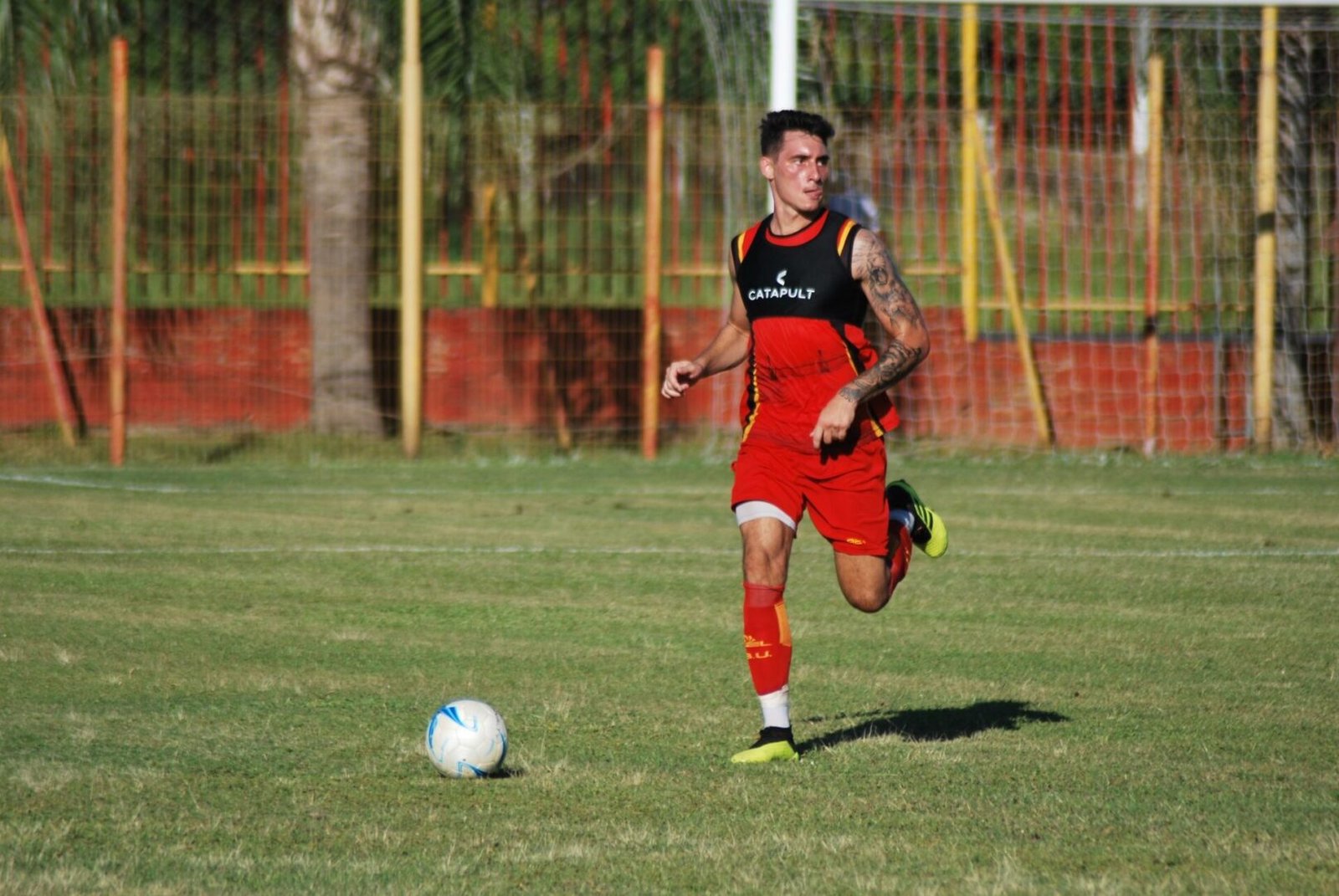 Nicolás Marotta