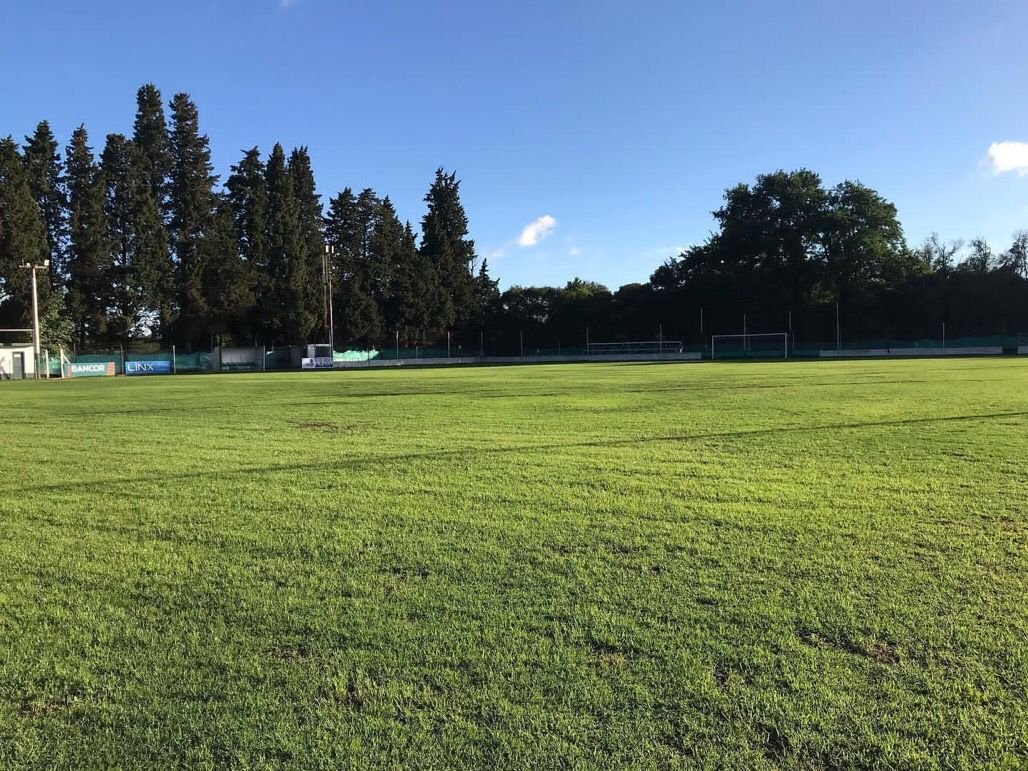 stadium photo