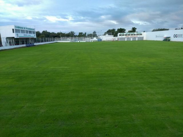 stadium photo